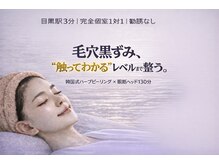 ワイズデュー(Y's Dew)