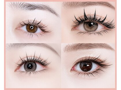 モーイ トウキョウ(Mooi Tokyo)の写真