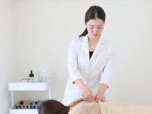 ヒトハリ 福岡薬院店(HITOHARI)/背中の鍼