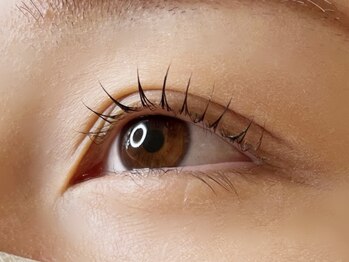 メゾン ブランシェ(MAISON BLANCHE)/