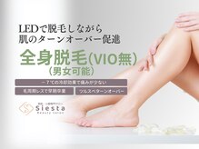 シエスタ(siesta)/LED全身脱毛（VIO無し）男女可