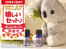 癒しのコアラ 一条 大宮店