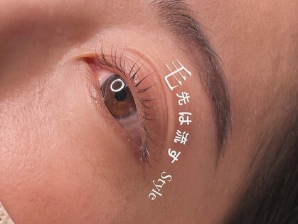 ヨイ(yoi)の写真