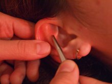 ビューティースリム タニダ/【Ａ】耳のツボを刺激!!