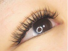 シープ(Sheep)/バインドロック140束！