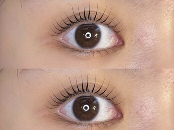 ポラール バイ ルピナス(Polar by Lupines)/束間まつ毛