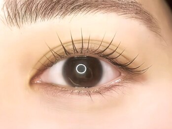 エクリュ 元住吉(ecru.)/ラッシュリフト/パリジェンヌ