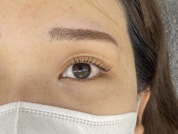 グリー 南浦和店(glee)/パリジェンヌラッシュリフト