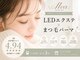 アレア(Alea)の写真
