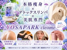 ヨサパーク クレオメ(YOSAPARK Cleome)