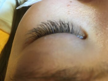 シャブラン(chat.blanc)/