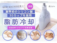 ラブランフェアリーの雰囲気（大人気♪最新脂肪冷却！）