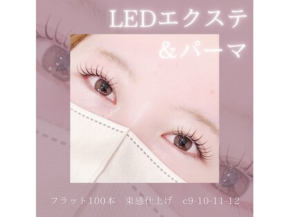 フェリンク 茅ヶ崎店(Felink)の写真
