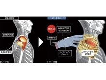 トラ 恵比寿店(TORA)/深層の癒着を狙い撃つ4D電流