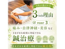 亀太郎鍼灸整体院 津志田院の雰囲気（様々な症状に鍼施術。マッサージ/整体/腰痛/肩こり/自律神経）