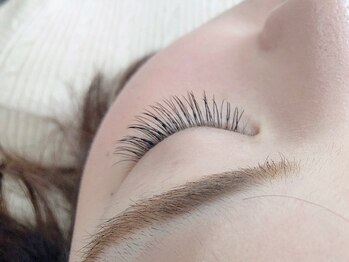 パル バイ ラベスト(Pal by lovest)/フラットラッシュ100本☆