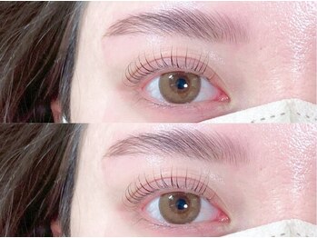 ブレス(Blss)/ハリウッド＋パリジェンヌ