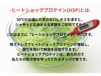 ヘルディン(heldin +555)/老化を食い止めるHSP