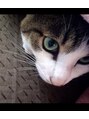 アンリッシュ 池袋東口店(un Riche) 実家のねこです。