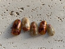 ネイルドッグ(NAIL DOG)/ニュアンス♪