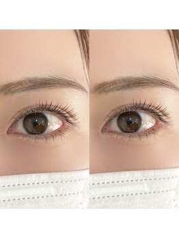 ダイナ(Dinah)/フラットラッシュ120本