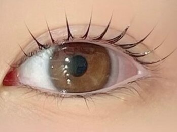 ミアン 津田沼店(Mian)/