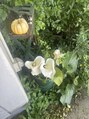 バトン(BATON.)&nbsp;変わったお花など見つけて、写真をたくさん撮るの好きです！