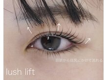 ハリウッドブロウリフト ワクシー 自由が丘店(HOLLYWOOD BROW LIFT WAXYYY.)/まつ毛パーマ￥5,000～