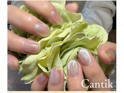 チャンティー(Cantik)の写真