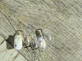 2月select(J)6,980円/全10種