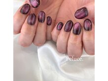 フェルーチェ(Feluce.)/マグネットネイル