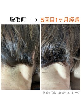 レーヴ/人気急増中!☆