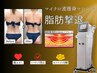【オンダスリム】レンチン仕組みで脂肪を直接深部加熱（お試し20分）
