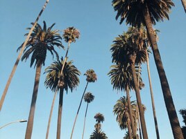 オススメメニュー☆