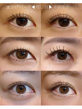 アールドヴィーヴル(Ar de vivre)/【マツエク・まつげパーマ】比較