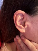 サルバトーレ/耳つぼ貼ると味が変わる。