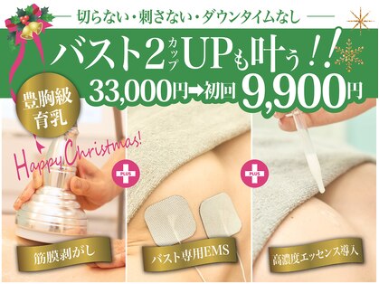 美人バスト 吉祥寺店の写真