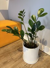 ビューティーソウルプラチナム二子玉川【リンパマッサージ/ヘッドスパ/肩こり/痩身】 Maruyama