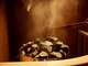 渋谷サウナス(SAUNAS)の写真/【8:00~24:00まで営業】サクッと夜割プラン、お仕事終わりにデトックスも♪忙しい方も好きなタイミングで◎