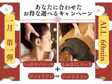 カミツレ(Kamitsure)