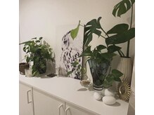 イズム(Izm)/18玄関