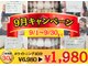 ホワイト 奈良桜井店(WHITE)の写真