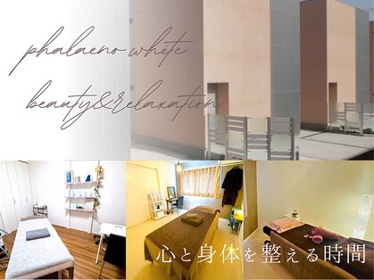 ファレノホワイトの写真