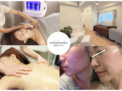 マハロヌイロア(mahalonuiloa)の写真