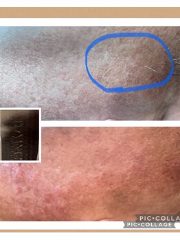 サロン ド ソレイユ(Salon.de.Soleil)/