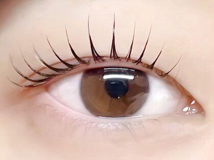 ベルーチェ(BELUCE)の写真