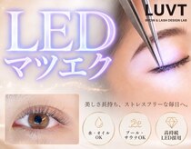 ルブト 北浜(LUVT)