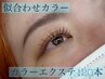 【カラー120本】オフ込み☆部分でもOK◎秋冬カラーでオリジナルまつ毛へ
