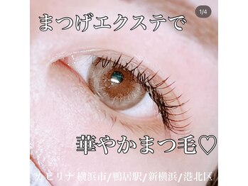 カピリナ(ka pilina)/フラットラッシュ ~100本