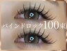 【モチ+濃さUP☆】バインドロック100束～華やかなお仕上がり～